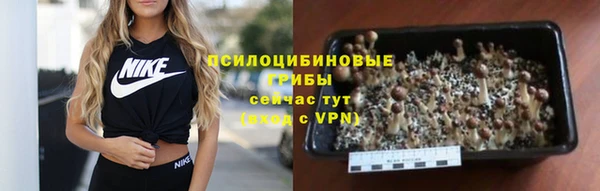 jwh Алзамай