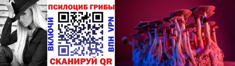 omg сайт  нарко площадка состав  Псилоцибиновые грибы Cubensis  Калтан 